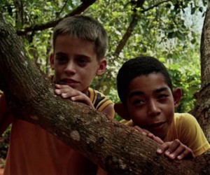 El cocodrilo sin dientes